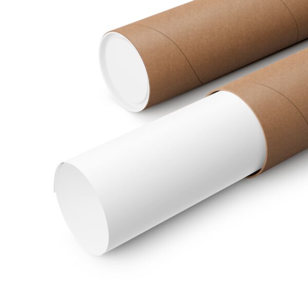 Political Protest Matte Vertical Posters - No Trump 2028 Design - Image 27