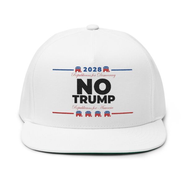 Republicans 2028 Embroidered Flat Bill Cap