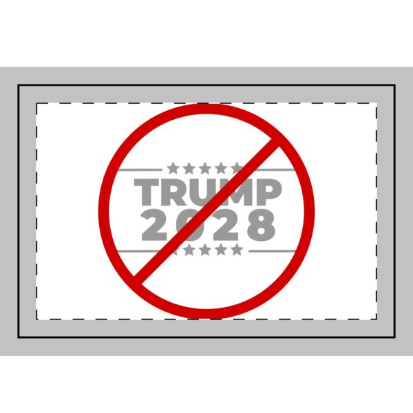 Anti-Trump 2028 Hand Flag - 1pc or 5pcs - Image 2